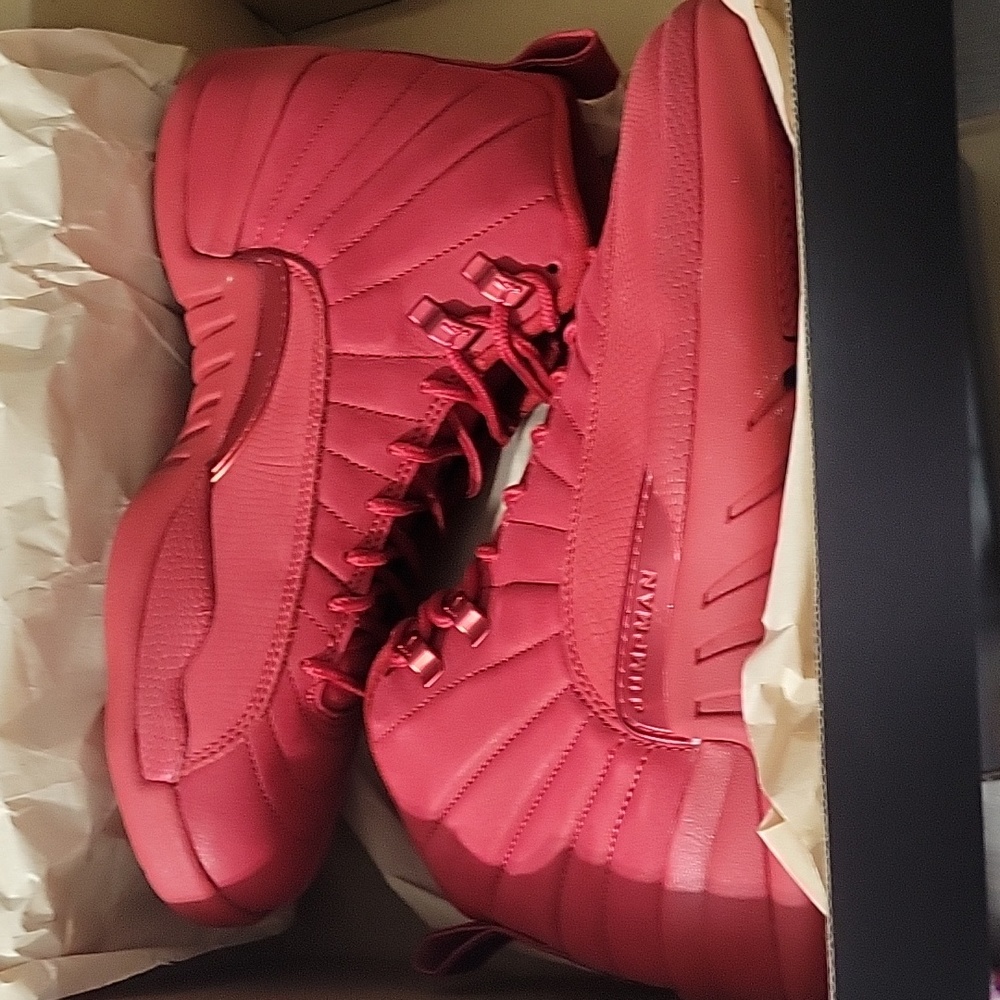Air Jordan 12 Retro DS